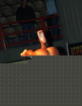 Click image for larger version

Name:	Cat.Miss Shape+30  I° Daniela Trevisiol (114).jpg
Views:	119
Size:	90.6 KB
ID:	15900392