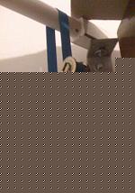 Click image for larger version

Name:	009.jpg
Views:	64
Size:	129.6 KB
ID:	15900449