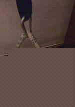 Click image for larger version

Name:	010.jpg
Views:	69
Size:	165.0 KB
ID:	15900450