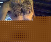 Click image for larger version

Name:	Snapshot_20091107.jpg
Views:	142
Size:	63.2 KB
ID:	15900617