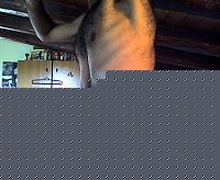 Click image for larger version

Name:	Snapshot_20091107_8.jpg
Views:	134
Size:	56.9 KB
ID:	15900618