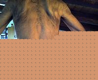 Click image for larger version

Name:	Snapshot_20091107_11.jpg
Views:	137
Size:	60.4 KB
ID:	15900619