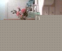 Click image for larger version

Name:	Immag001pt.jpg
Views:	81
Size:	21.5 KB
ID:	15900799