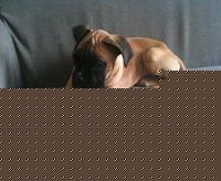 Click image for larger version

Name:	IMG_0329.jpg
Views:	71
Size:	82.7 KB
ID:	15900801