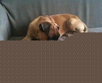 Click image for larger version

Name:	IMG_0330.jpg
Views:	61
Size:	84.5 KB
ID:	15900802