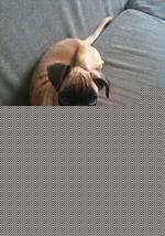 Click image for larger version

Name:	IMG_0331.jpg
Views:	71
Size:	156.6 KB
ID:	15900803