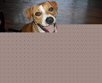 Click image for larger version

Name:	gnap1.jpg
Views:	94
Size:	62.0 KB
ID:	15900817