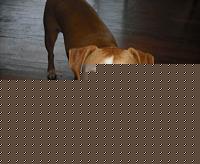 Click image for larger version

Name:	gnap2.jpg
Views:	55
Size:	52.0 KB
ID:	15900818