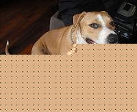 Click image for larger version

Name:	gnap3.jpg
Views:	67
Size:	67.3 KB
ID:	15900819