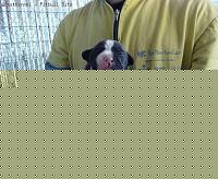 Click image for larger version

Name:	ciccio 1.jpg
Views:	54
Size:	47.8 KB
ID:	15900830