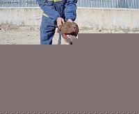 Click image for larger version

Name:	sam 1.jpg
Views:	58
Size:	49.0 KB
ID:	15900831