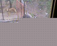 Click image for larger version

Name:	ciccio parkour.jpg
Views:	51
Size:	97.4 KB
ID:	15900839
