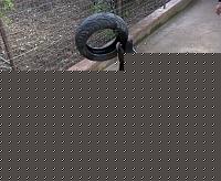 Click image for larger version

Name:	ciccio copertone.jpg
Views:	49
Size:	152.1 KB
ID:	15900841