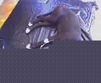 Click image for larger version

Name:	13.jpg
Views:	43
Size:	55.7 KB
ID:	15900842