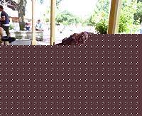 Click image for larger version

Name:	6a00e54ee7b6428833011572075844970b-800wi.jpg
Views:	48
Size:	76.6 KB
ID:	15900992