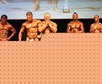 Click image for larger version

Name:	DSCF0923.JPG
Views:	135
Size:	112.1 KB
ID:	15900996