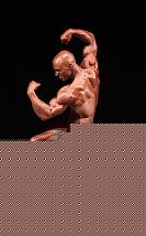 Click image for larger version

Name:	BB_gore2.jpg
Views:	119
Size:	96.3 KB
ID:	15901023