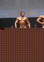 Click image for larger version

Name:	galli1.JPG
Views:	489
Size:	105.2 KB
ID:	15901282