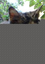 Click image for larger version

Name:	04072009519.jpg
Views:	74
Size:	117.2 KB
ID:	15901359