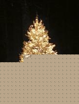 Click image for larger version

Name:	ALBERO DI NATALE.jpg
Views:	162
Size:	26.3 KB
ID:	15901656