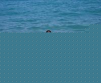 Click image for larger version

Name:	P1010486.jpg
Views:	108
Size:	81.9 KB
ID:	15901891