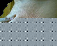 Click image for larger version

Name:	20012010487.jpg
Views:	72
Size:	47.0 KB
ID:	15903406