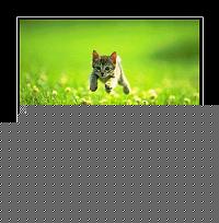 Click image for larger version

Name:	miao.jpg
Views:	63
Size:	48.4 KB
ID:	15903644
