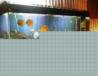 Click image for larger version

Name:	DSCF1588.JPG
Views:	226
Size:	166.0 KB
ID:	15903906