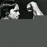 Click image for larger version

Name:	arnold_schwarzenegger.jpg
Views:	299
Size:	28.3 KB
ID:	15904130