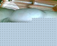 Click image for larger version

Name:	04032010(005).jpg
Views:	76
Size:	131.7 KB
ID:	15904254