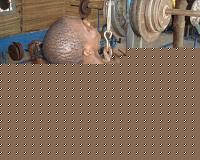 Click image for larger version

Name:	af2.jpg
Views:	313
Size:	41.6 KB
ID:	15904353