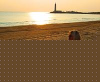 Click image for larger version

Name:	SABINA ASSANTO (4).jpg
Views:	159
Size:	105.9 KB
ID:	15904562
