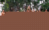 Click image for larger version

Name:	Cat.Athletic Medie Taglie Conf (20).jpg
Views:	94
Size:	145.3 KB
ID:	15904583
