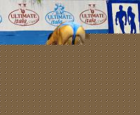 Click image for larger version

Name:	Cat Athletic Alte Taglie III°class  Buonincontro Domenico (4).jpg
Views:	106
Size:	89.7 KB
ID:	15905107