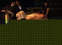 Click image for larger version

Name:	Cat.Miss Shape+30  III° Serenyi Krisztina kinga (93).jpg
Views:	61
Size:	61.0 KB
ID:	15905284