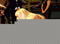 Click image for larger version

Name:	Cat.Miss Shape+30  III° Serenyi Krisztina kinga (95).jpg
Views:	55
Size:	103.0 KB
ID:	15905334