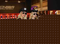 Click image for larger version

Name:	IMG_0867.jpg
Views:	193
Size:	75.4 KB
ID:	15905623