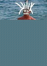 Click image for larger version

Name:	pol2.jpg
Views:	897
Size:	170.4 KB
ID:	15908598