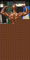 Click image for larger version

Name:	Cerce6.jpg
Views:	376
Size:	55.9 KB
ID:	15908847