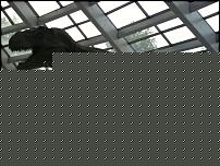 Click image for larger version

Name:	trex7.jpg
Views:	886
Size:	115.5 KB
ID:	15909028