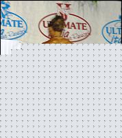 Click image for larger version

Name:	Cat MISS I°Lachin Barbara (7).jpg
Views:	101
Size:	93.1 KB
ID:	15909038