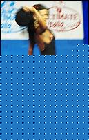 Click image for larger version

Name:	Cat MISS II°Sansone Azzurra (10).jpg
Views:	106
Size:	123.3 KB
ID:	15909293