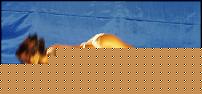 Click image for larger version

Name:	Cat MISS III° Salvatori Loredana (6).jpg
Views:	94
Size:	51.6 KB
ID:	15909561