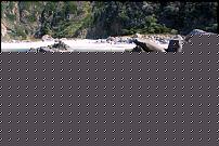 Click image for larger version

Name:	mare-Messina.jpg
Views:	65
Size:	98.2 KB
ID:	15909800