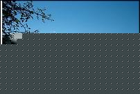 Click image for larger version

Name:	trearie.jpg
Views:	53
Size:	30.1 KB
ID:	15909821