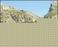 Click image for larger version

Name:	08.12.06.jpg
Views:	55
Size:	22.1 KB
ID:	15909822