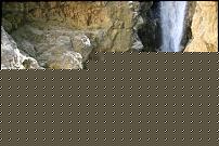 Click image for larger version

Name:	foto 2.jpg
Views:	49
Size:	136.4 KB
ID:	15909824