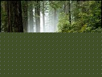 Click image for larger version

Name:	BOSCO_DI_MANGALAVITE1.jpg
Views:	61
Size:	123.1 KB
ID:	15909826