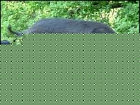 Click image for larger version

Name:	imgres.jpg
Views:	121
Size:	11.8 KB
ID:	15909827
