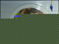 Click image for larger version

Name:	foto.JPG
Views:	153
Size:	83.3 KB
ID:	15909931